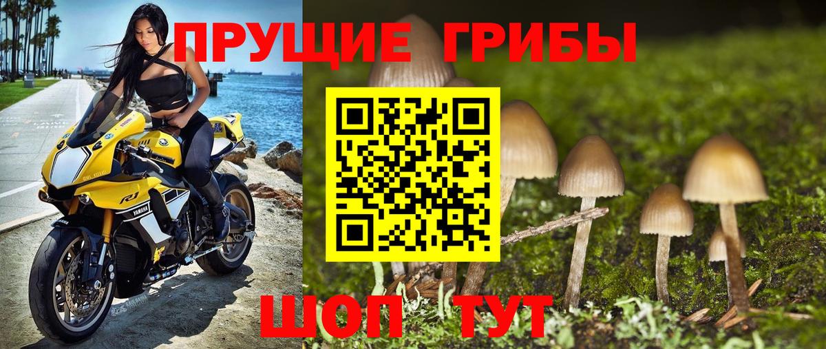 Галлюциногенные грибы GOLDEN TEACHER Сланцы